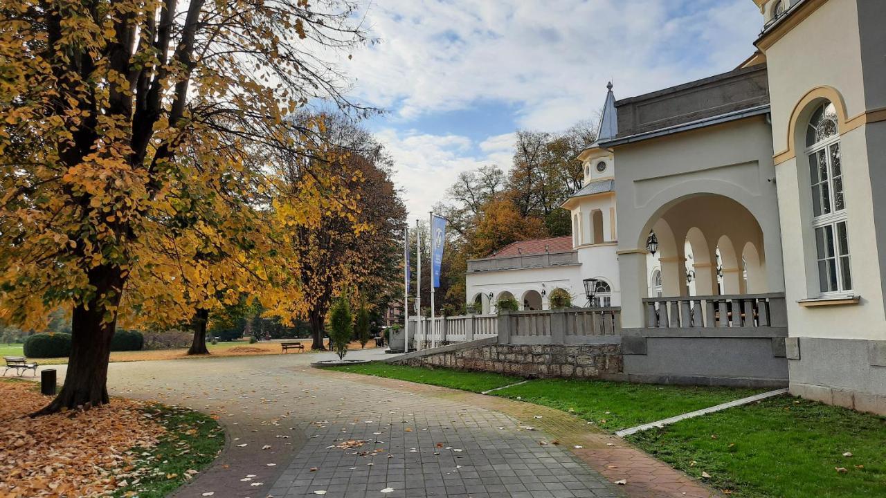 Apartman Mila, Banja Koviljača 外观 照片