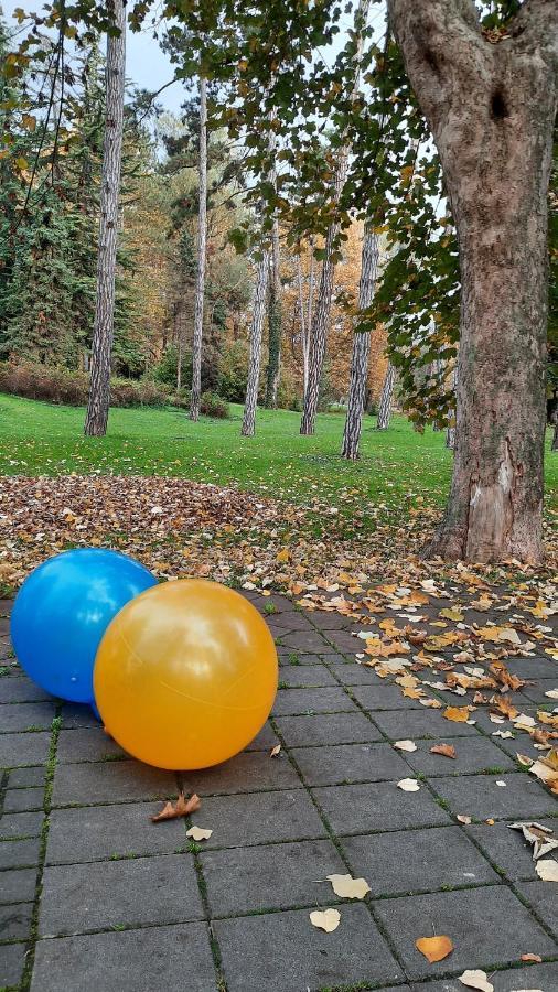 Apartman Mila, Banja Koviljača 外观 照片